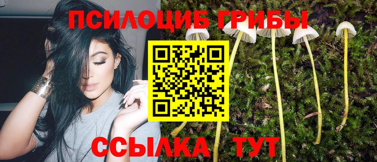 Галлюциногенные грибы мицелий  Псилоцибиновые грибы мицелий  Шатура  наркота  Вход с VPN 